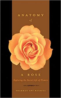 Anatomy of a Rose: The Secret Life of Flowers