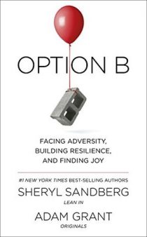 Summary Option B: Facing Adversity, Building Resilience, and Finding Joy
