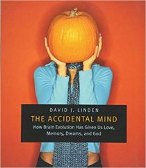 The Accidental Mind: How Brain Evolution Has Given Us Love, Memory, Dreams, and God